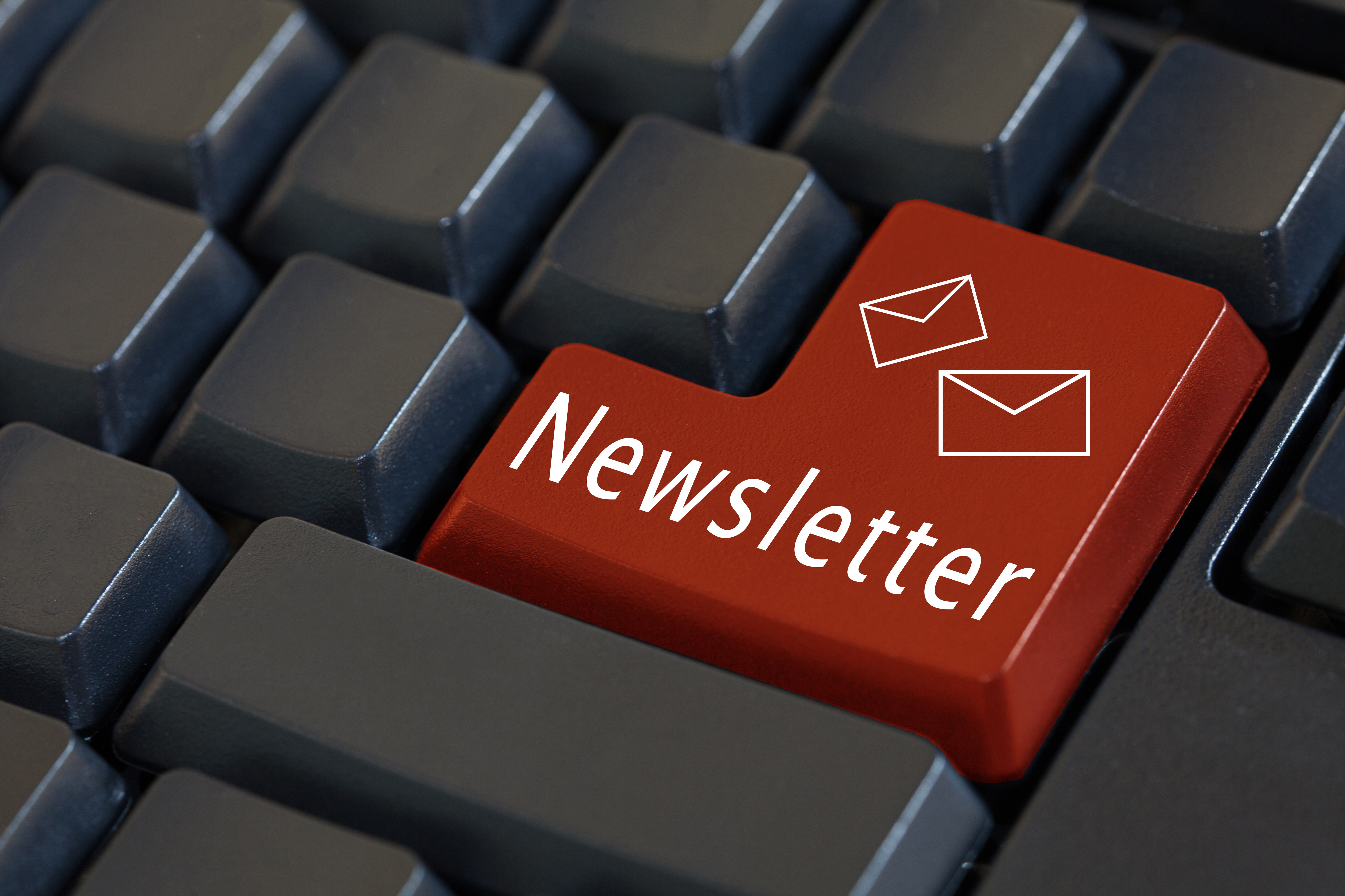 Newsletter Januar 2025