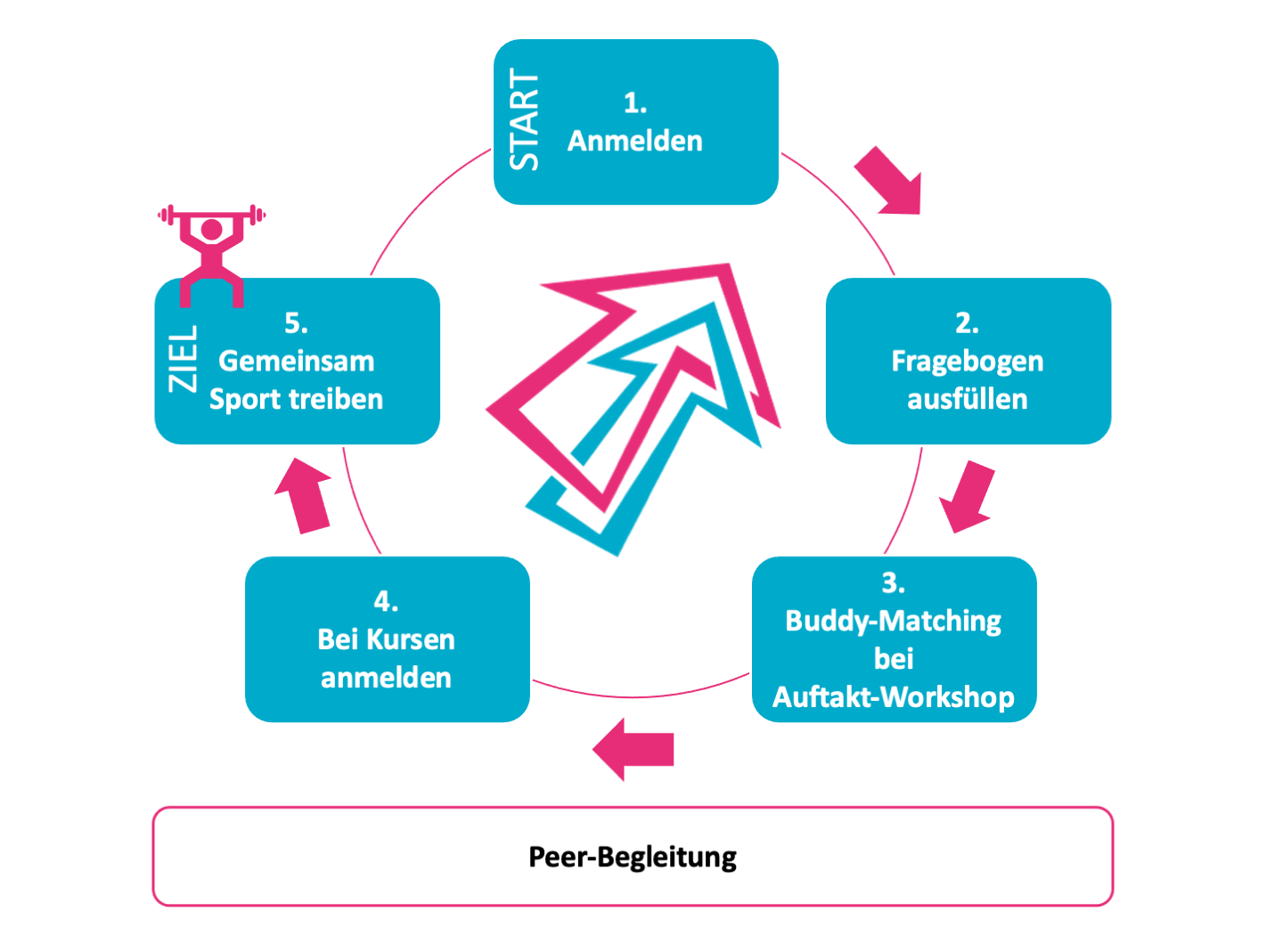 ablaufdiagramm-buddyprogramm.png